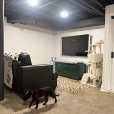 Chicago-Basement-Renovation-and-Adding-Bathroom 11